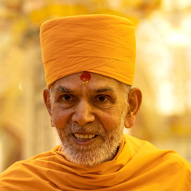 His Holiness Mahant Swami Maharaj's 88th Birthday Celebration