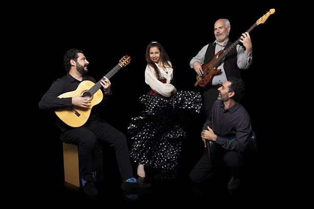 Maharajah Flamenco Trio Live Dinner And Show