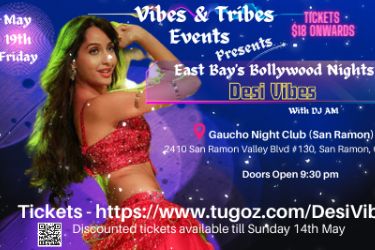 Desi Vibes  San Francisco Bay Area  Best Bollywood Dance Party